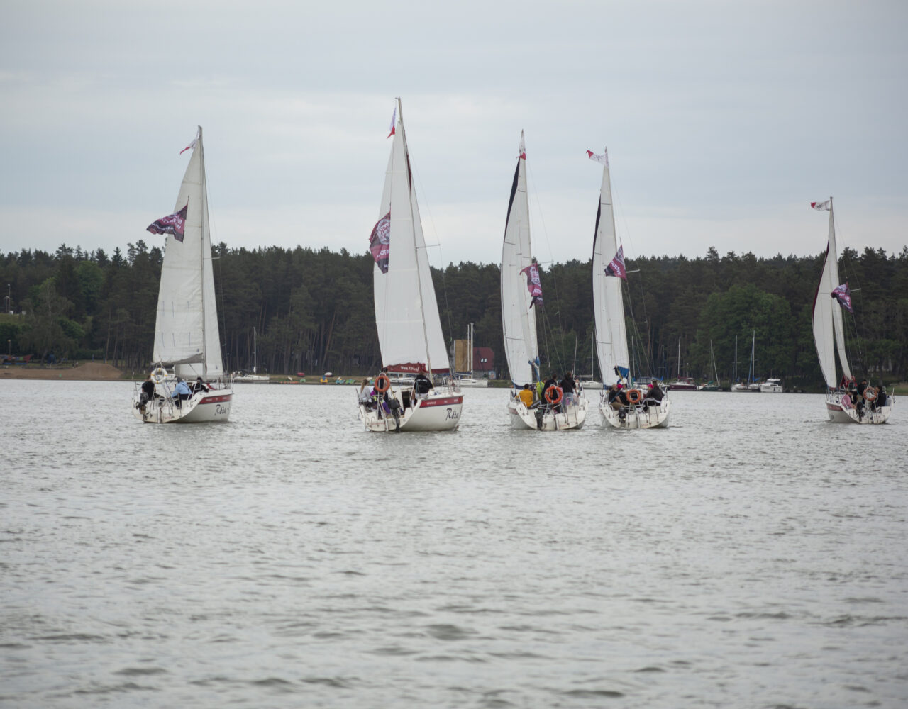 _X4C2115 — kopia