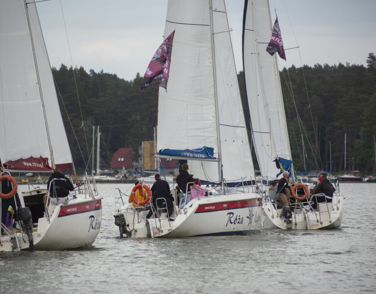 _X4C2118 — kopia