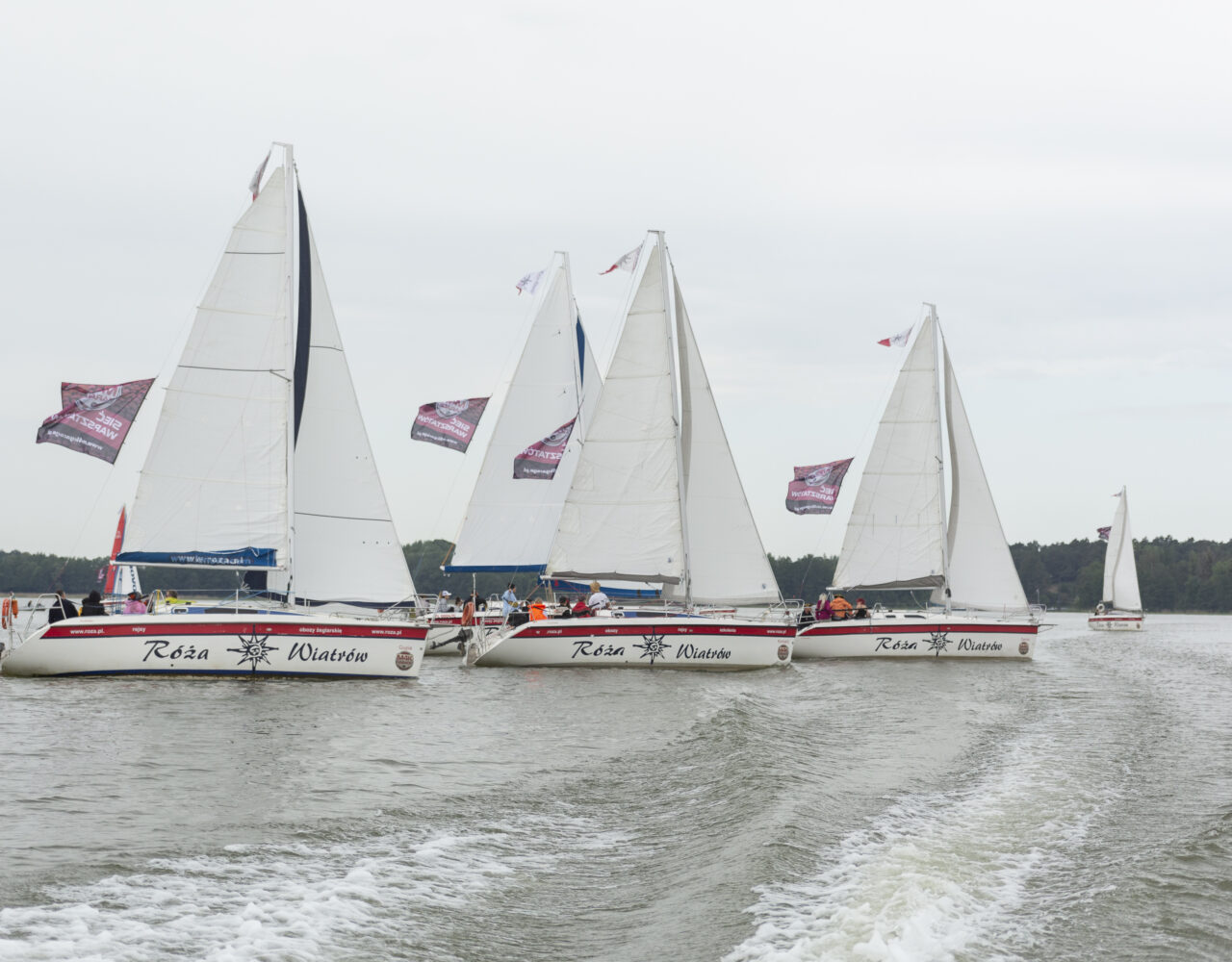 _X4C2165 — kopia